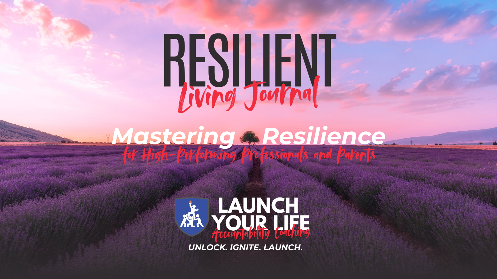 Mastering Resilience for High-Performing Professionals and Parents