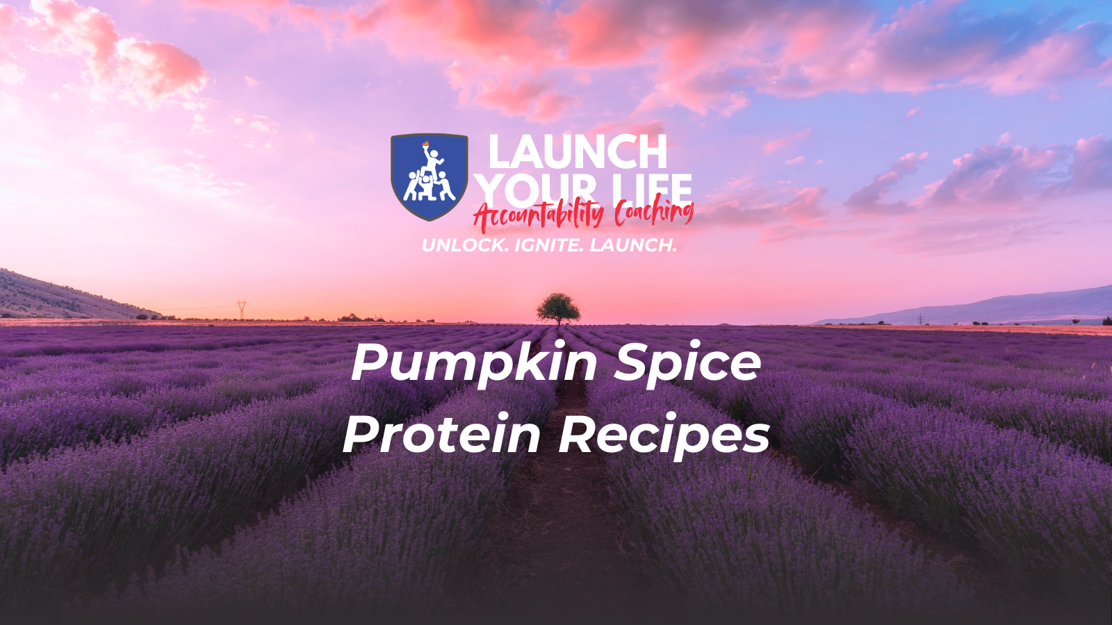 The Best Pumpkin Spice Protein Recipes of 2025
